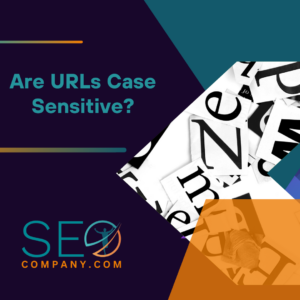 Are URLs Case Sensitive (1)