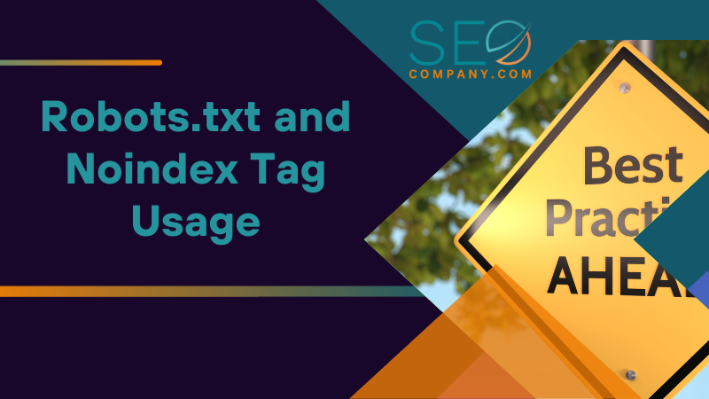 Robots.txt and Noindex Tag Usage